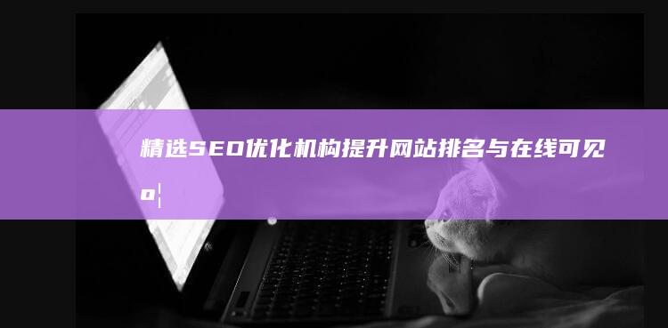 精选SEO优化机构：提升网站排名与在线可见度